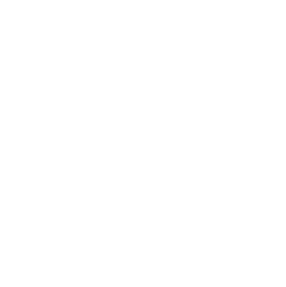 brandident